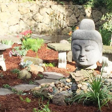 Serene Charming Private Suite Patio, Upscale เบิร์กลีย์ ภายนอก รูปภาพ